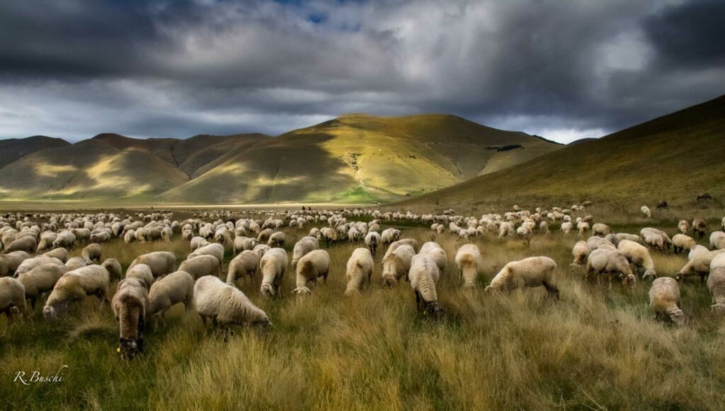 2016-10-08-CASTELLUCCIO-10